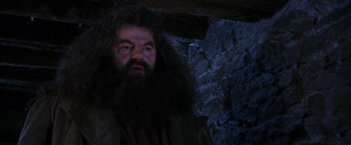 PF-Potterish_01440.jpg