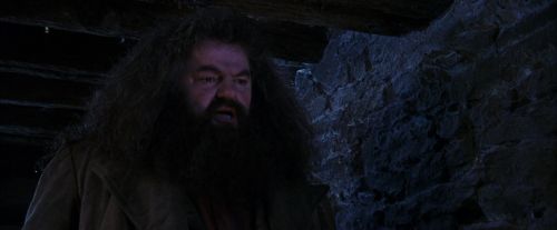 Click to view full size image
==============
PF-Potterish_01441.jpg PF-Potterish_01441.jpg
