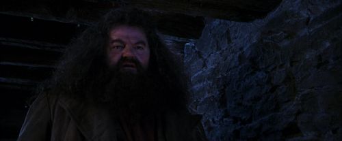 PF-Potterish_01450.jpg