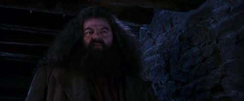 PF-Potterish_01455.jpg