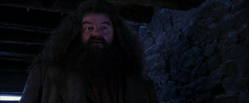 Click to view full size image
==============
PF-Potterish_01457.jpg PF-Potterish_01457.jpg