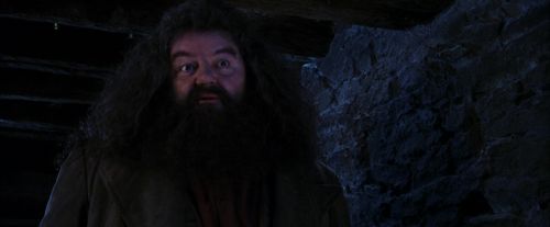 PF-Potterish_01458.jpg