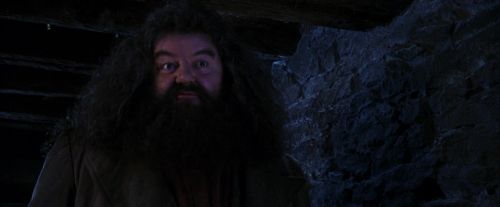 Click to view full size image
==============
PF-Potterish_01459.jpg PF-Potterish_01459.jpg