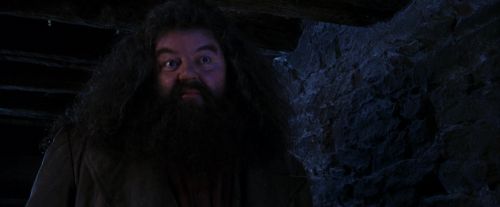 Click to view full size image
==============
PF-Potterish_01460.jpg PF-Potterish_01460.jpg