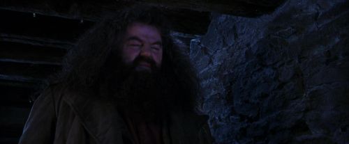 PF-Potterish_01463.jpg
