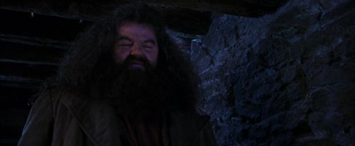PF-Potterish_01464.jpg