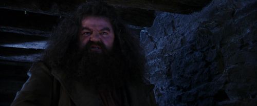 PF-Potterish_01465.jpg