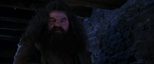 PF-Potterish_01466.jpg