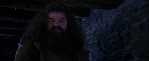 PF-Potterish_01467.jpg