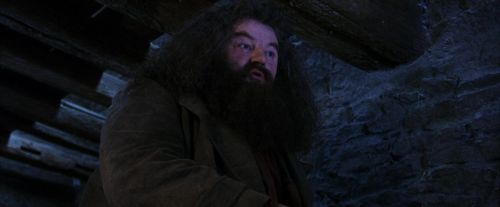 PF-Potterish_01473.jpg