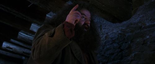 PF-Potterish_01474.jpg