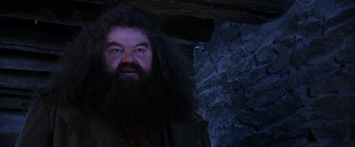 PF-Potterish_01480.jpg