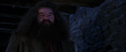 Click to view full size image
==============
PF-Potterish_01481.jpg PF-Potterish_01481.jpg