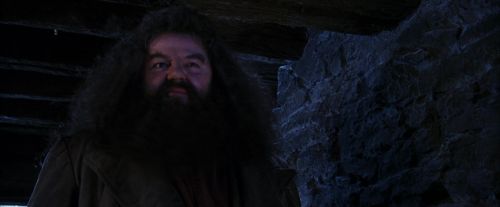 PF-Potterish_01482.jpg