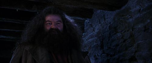 Click to view full size image
==============
PF-Potterish_01483.jpg PF-Potterish_01483.jpg