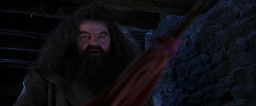 PF-Potterish_01491.jpg