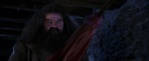 PF-Potterish_01492.jpg