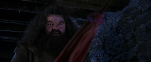 PF-Potterish_01498.jpg