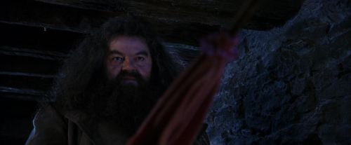 PF-Potterish_01499.jpg