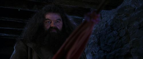 Click to view full size image
==============
PF-Potterish_01501.jpg PF-Potterish_01501.jpg