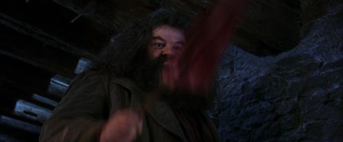 PF-Potterish_01505.jpg