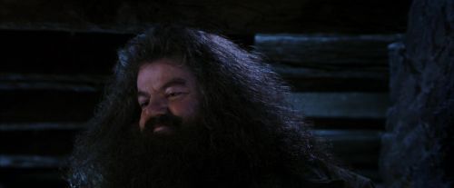 PF-Potterish_01521.jpg