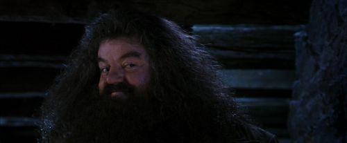 PF-Potterish_01522.jpg