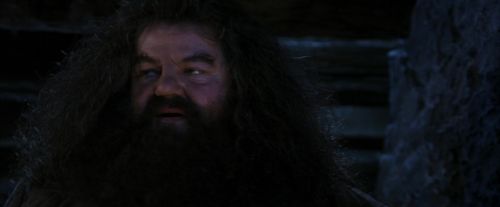 PF-Potterish_01526.jpg