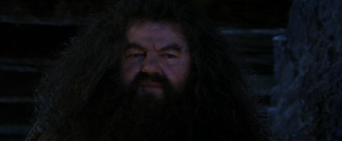 Click to view full size image
==============
PF-Potterish_01527.jpg PF-Potterish_01527.jpg