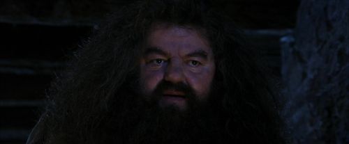 Click to view full size image
==============
PF-Potterish_01531.jpg PF-Potterish_01531.jpg