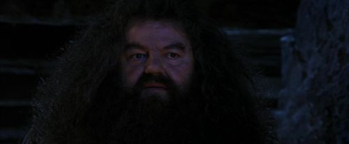 Click to view full size image
==============
PF-Potterish_01532.jpg PF-Potterish_01532.jpg