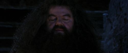 Click to view full size image
==============
PF-Potterish_01533.jpg PF-Potterish_01533.jpg