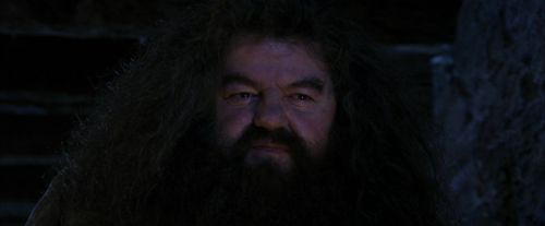 Click to view full size image
==============
PF-Potterish_01534.jpg PF-Potterish_01534.jpg