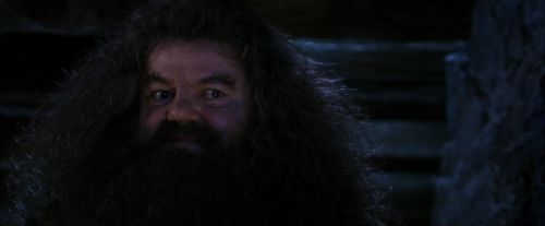 Click to view full size image
==============
PF-Potterish_01538.jpg PF-Potterish_01538.jpg