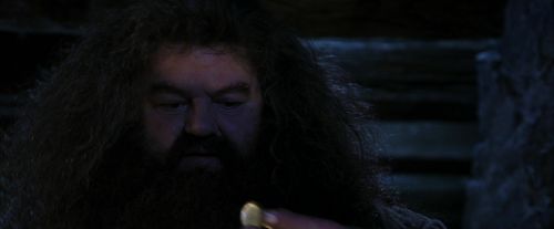 PF-Potterish_01539.jpg