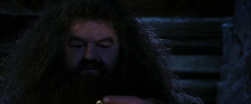 Click to view full size image
==============
PF-Potterish_01540.jpg PF-Potterish_01540.jpg