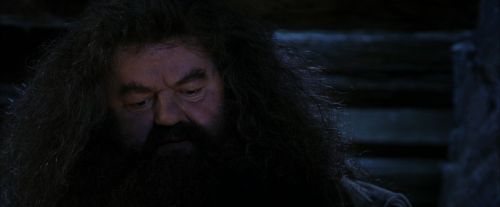 Click to view full size image
==============
PF-Potterish_01542.jpg PF-Potterish_01542.jpg
