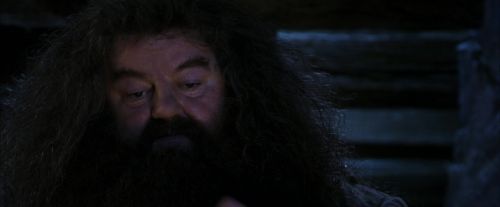 Click to view full size image
==============
PF-Potterish_01543.jpg PF-Potterish_01543.jpg