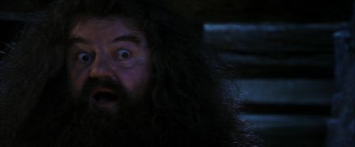 PF-Potterish_01544.jpg