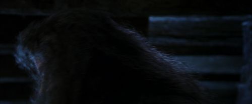PF-Potterish_01545.jpg