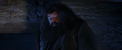 Click to view full size image
==============
PF-Potterish_01552.jpg PF-Potterish_01552.jpg