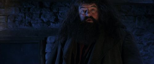 PF-Potterish_01553.jpg