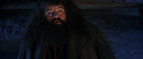 Click to view full size image
==============
PF-Potterish_01554.jpg PF-Potterish_01554.jpg
