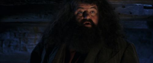 PF-Potterish_01555.jpg