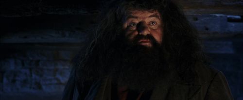Click to view full size image
==============
PF-Potterish_01556.jpg PF-Potterish_01556.jpg