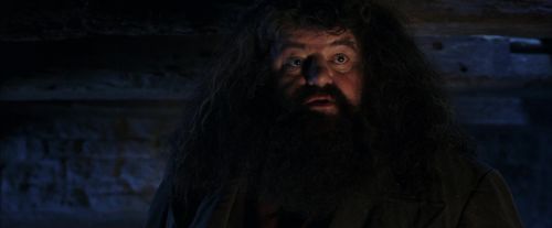 PF-Potterish_01557.jpg