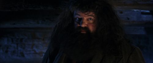 PF-Potterish_01558.jpg