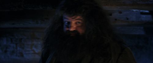 Click to view full size image
==============
PF-Potterish_01559.jpg PF-Potterish_01559.jpg
