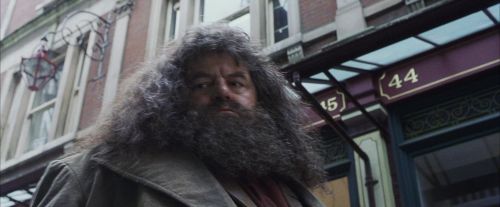 PF-Potterish_01593.jpg
