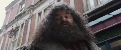 Click to view full size image
==============
PF-Potterish_01601.jpg PF-Potterish_01601.jpg